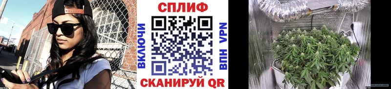 Каннабис план  Купить где  Верхний Уфалей 